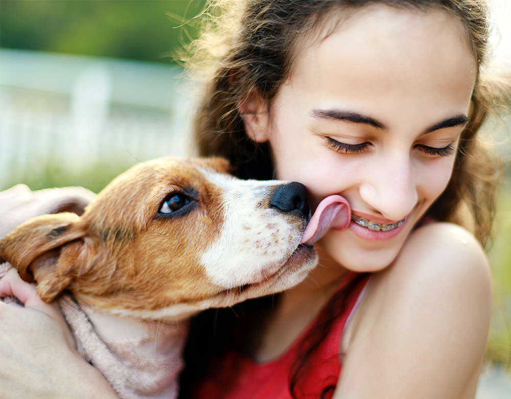 About Gentle Dental Orthodontics